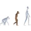 Der 41. Jahrestag der Entdeckung von Lucy, dem dem Australopithecus afarensis, ist gleichzeitig ein wichtiger Ehrentag für die Evolution. 