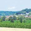 Zehn Windräder hat das Landratsamt Dillingen in der Gemeinde Zöschingen genehmigt. Dagegen will die Kommune jetzt klagen.