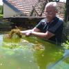 Mario Hamanns große Leidenschaft gehört der Aquaristik. Besonders interessieren den 58-Jährigen dabei die Wasserpflanzen.
