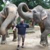 Pfleger Gary hat zu Burma (links) und Targa einen speziellen Draht. Bekommt der Zoo in Augsburg nun weitere Elefanten?