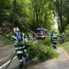 Einen Baum musste die Pöttmeser Feuerwehr von der Staatsstraße 2035 bei Schorn  entfernen. 