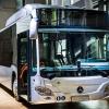 So sehen die Daimler-Citaro-Busse mit Erdgasantrieb der neuesten Generation aus. Die Stadtwerke bestellen die lange Version mit Gelenk. 