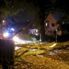 Ein umgestürzter Baum verursachte einen Unfall.