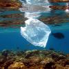 Plastiktüten und andere Kunststoffabfälle belasten die Weltmeere. Eine Untersuchung des Geomar in Kiel legt nun nahe: Auch nach Jahrzehnten im Wasser sind die Wertstoffe wie neu.