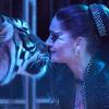 Wenn Carmen Zander mit ihren Tigern auf Kuschelkurs geht, stockt den Zuschauern des Moskauer Weihnachtscircus der Atem. 	