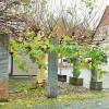 Die Stelen am Synagogenplatz erinnern an die jüdische Geschichte in Altenstadt. Die Fläche, auf der das Mahnmal steht, ist jetzt ein Bodendenkmal. 