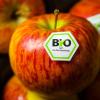 Äpfel mit Bio-Siegel sind häufig weniger mit Pestiziden belastet. Trotzdem sollte man sie vor dem Verzehr waschen.