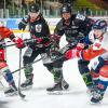 Die Spieler des EHC Königsbrunn (schwarze Trikots) hatten schon im Hinspiel alle Hände voll zu tun mit den Sharks aus Kempten. Jetzt geht es zum Rückspiel ins Allgäu.