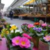 Der Augsburger Stadtmarkt ist attraktiver, als die derzeitige Diskussion vermuten lässt, finden die Händler.