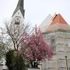 Die Michaelskirche in Schwabmünchen wird aufwendig saniert. Das Dach und der Innenraum wurden im vergangenen Jahr bereits erneuert. Nun sind Apsis und Seitenschiffe an der Reihe.