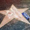 Bereits 2016 hatte ein Mann Donald Trumps Stern auf dem "Walk of Fame" in Hollywood zertrümmert. 