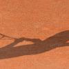 Der Schatten verrät die Anspannung des Tennisspielers.  	