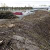 Am Sportzentrum Kaufering wurde Anfang 2013 der Wall hinter der Skateanlage komplett abgeholzt. In jüngster Sitzung beantragte die GAL-Fraktion eine sensible Heckenpflege auf Gemeindegrund. 
