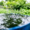 Ein Tipp zum Wassersparen: Wasser aus der Regentonne zum Gießen benutzen. Doch wenn es nicht regnet, bleibt oft keine andere Wahl, als auf Trinkwasser zurückzugreifen. 