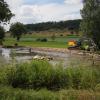 Am Weiher im Rennertshofener Ortsteil Mauern wurden die letzten Fische herausgeholt, bevor die Sanierungsmaßnahmen beginnen.