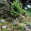 Unter anderem erhält der Kreismustergarten in Weißenhorn dieses Jahr Geld aus der Leader-Förderung. 