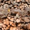 Holz im Überfluss gibt es derzeit in der Region, da viele Bäume gefällt werden müssen, die einen Schaden haben. Damit verfällt auch der Preis, beklagen die Waldbesitzer.  	