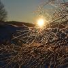 Bei eisigen Temperaturen geht über dem Kaufunger Wald in Hessen die Sonne auf.