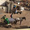 Esel und Pferd sind typische Transportmittel im Senegal, viele Autos gibt es nur in größeren Städten.