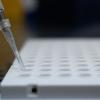 Ein Forscher zeigt (hier im Landesgesundheitsamt Baden-Württemberg), wie ein PCR-Test für die Analyse auf Mutationen des Coronavirus vorbereitet wird. 