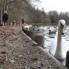 Der Stempflesee im Siebentischwald ist beliebt bei Spaziergängern.