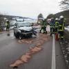 Bei einem Unfall zwischen Zusmarshausen und Horgau erlitten zwei Menschen am Samstagnachmittag schwerste Verletzungen.