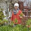 Annemarie Rötzer aus Erpfting ist die Stille Heldin des Monats April. Die 75-Jährige kümmert sich seit Jahrzehnten nicht nur um hilfsbedürftige Menschen im Dorf, sondern engagiert sich auch noch in Vereinen. 