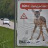 Achtung Reh! Die Zahl der Wildunfälle in Deutschland hat stark zugenommen. 