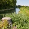 Die Baumfällungen am Herrenbach sorgten für viel Ärger. 