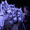 So sieht es aus, wenn Zirkusdirektor Markus Kaiser mit seinen Pferden in der Manege des Zirkus Barnum steht. Derzeit ist das leider nicht möglich.  	