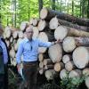 Forstamtsleiter Rainer Nützel und Hermann S. Walter (rechts) von der Forstbetriebsstelle Ottobeuren mit Käferholz. Das Holz ist erkennbar am blauen Rand, der durch einen Pilz verursacht ist.