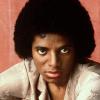 Michael Jackson wurde am 29. August 1958 in Gary, Indiana geboren. Von Kindesbeinen an stand er auf der Bühne.