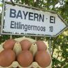 2014 waren mit Salmonellen verseuchte Eier der Firma Bayern-Ei im Handel gelandet. Ein Mensch starb. 	