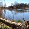 Die Donau-Auen zwischen Marxheim (Kreis Donau-Ries) und Ingolstadt sind einer von zwei Kandidaten für den dritten Nationalpark in Bayern.