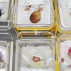 Am Klinikum Landsberg steigen die Geburtenzahlen.