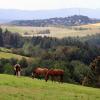 Idyllisches Wisperland: Dieser Ausblick bietet sich auf dem Rundweg Wisper-Geflüster. 