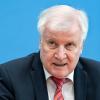 "Die gesamte Bundesregierung muss sich dafür einsetzen, dass Straftäter und Gefährder unser Land verlassen", sagt Horst Seehofer.