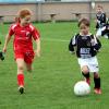 Die F2-Junioren des VfL Ecknach (am Ball Ferdinand Bleis) mussten sich im Heimspiel gegen den BC Adelzhausen mit 0:4 Toren geschlagen geben.  
