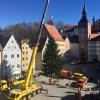 Landsberg: Der Christbaum auf dem Hauptplatz ist da