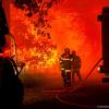 In Frankreich kämpfen Feuerwehrleute gegen Waldbrände – hier in Landiras.