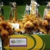 Stofftiere des Maskottchens der FIFA WM 2006, "Goleo", sind am Freitag (28.04.06) in einem offiziellen FIFA WM 2006 Shop in einem Karstadt Sporthaus in Dortmund in einem Display ausgestellt. Foto: Volker Hartmann/ddp