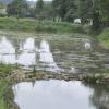 Die ausgebaggerten Regenrückhaltebecken an Möhren- und Krumbach am Ortsrand von Otting haben möglicherweise Schlimmeres verhindert. 