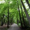 Im Wittelsbacher Park ist ein Exhibitionist einer Joggerin begegnet. 