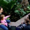 
 Aronstabgewächse in der Pflanzenwelt unter Glas, Katharina und Christian Waschke erkunden mit Sarah (3) und Johanna ( 5) die Ausstellung im Botanischen Garten 