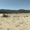 Dürre in Kalifornien: Wasser wird Luxus