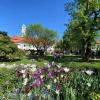 Der Hofgarten am vergangenen Sonntag: Die Rasenflächen dienen für Besucher als angenehmer Aufenthaltsort. 