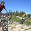 Eine eigens für Mountainbiker geschaffene Strecke wünscht sich der Jugendbeirat Welden. Derartige Pumptracks erfreuen sich immer größerer Beliebtheit. Wie etwa der am Panorama-Bikepark Eschach.