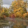 Der Donauwald-Wanderweg zwischen Schwenningen und Günzburg bietet spektakuläre Naturerlebnisse. 