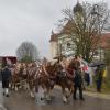 Prächtige Pferdegespänne sind am Sonntag beim Leonhardiritt in Unterliezheim zu sehen.