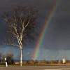 Sturm Eberhard hat am Sonntag den Landkreis Dillingen ganz schön durchgewirbelt. Die Polizei meldet unter anderem einige umgeknickte Bäume. Aber dank Eberhard waren am Sonntag auch wunderschöne Regenböden zu sehen. Das Bild entstand zwischen Schretzheim und Steinheim an der alten B16. 